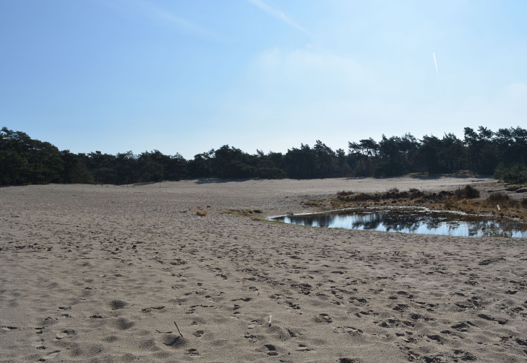 Huisartsenpraktijk Duin en Wiel 